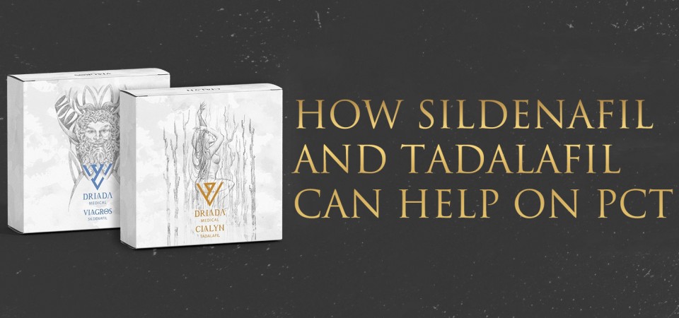 HOW SILDENAFIL AND TADALAFIL CAN HELP ON PCT