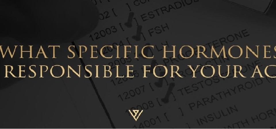¿QUÓ HORMONAS ESPECÍFICAS SON RESPONSABLES DE TU ACNÉ?