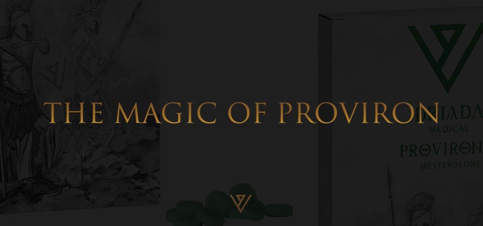 LA MAGIA DEL PROVIRON