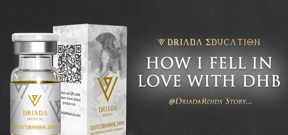 UNA HISTORIA SOBRE CÓMO ME ENAMORÉ DE DHB