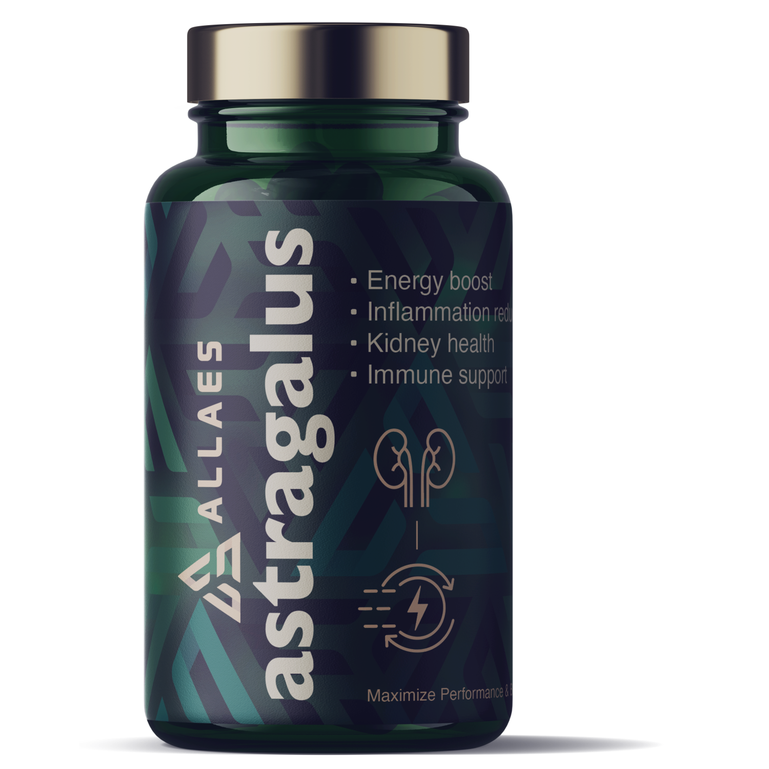Allaes Astragalus Allaes Astragalus