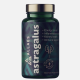 Allaes Astragalus Allaes Astragalus