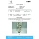 Ostarine 10mg (MK-2866) Ostarine 10mg (MK-2866)