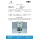 Anadrolus 50 mg (Oxymetholone)