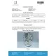 Mastelad 100 mg/ml (Drostanolone Propionate) 10ml vial